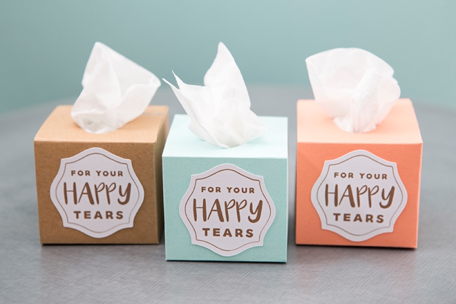ST-DIY-Mini-Wedding-Tissue-Boxes_0014